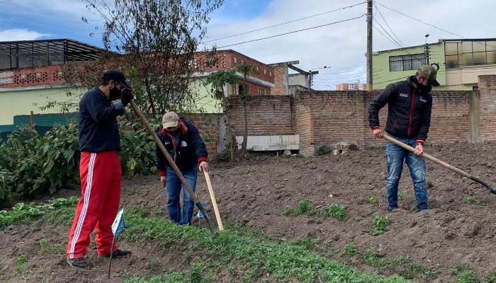 Huerta urbana centro vida