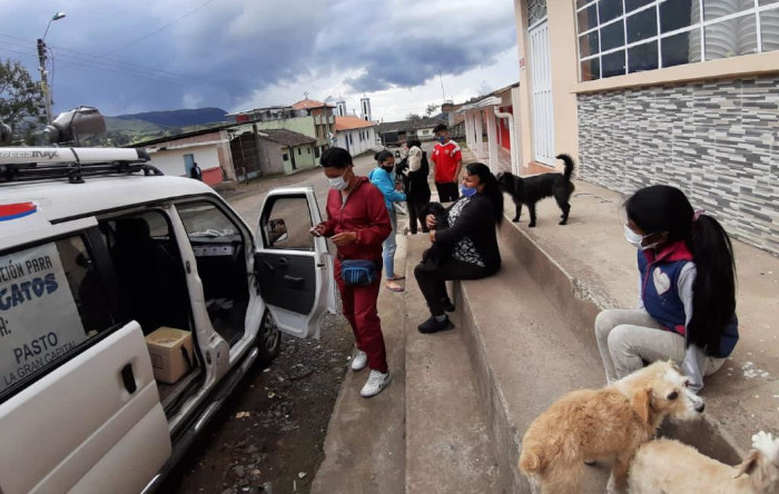 Vacunación caninos y felinos