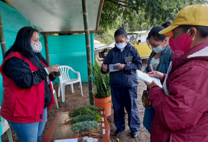 Escuelas para el campo