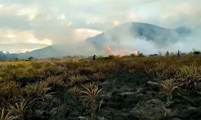 Incendio Paramo Santa Isabel