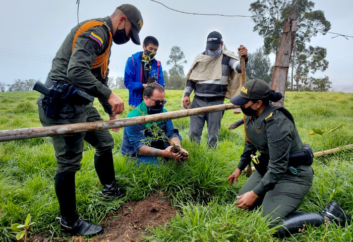 Hojitas comunales