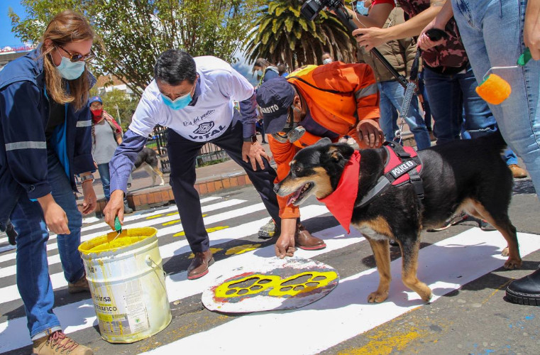 Jonada de peatonalización 24 de agosto de 2021