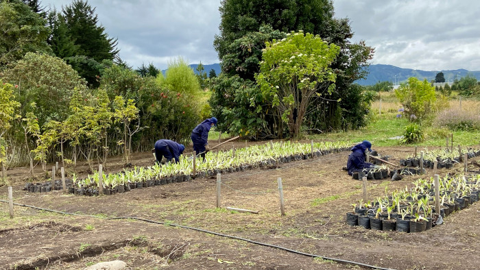 Vivero municipal