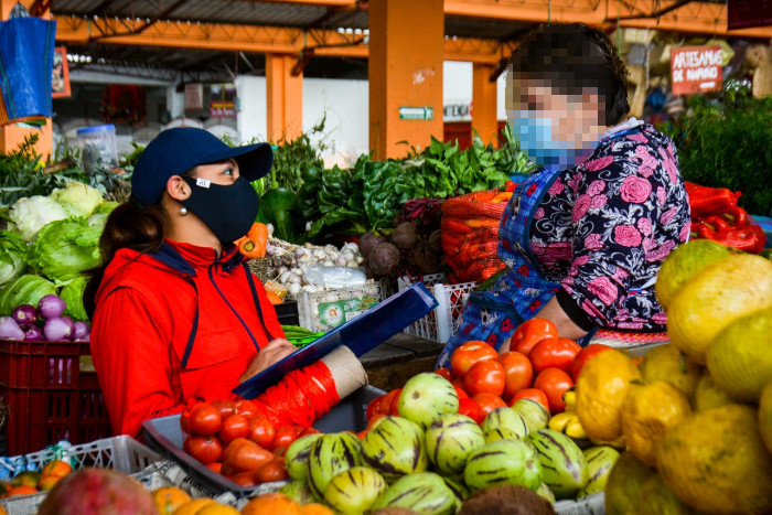 Censo plazas de mercado