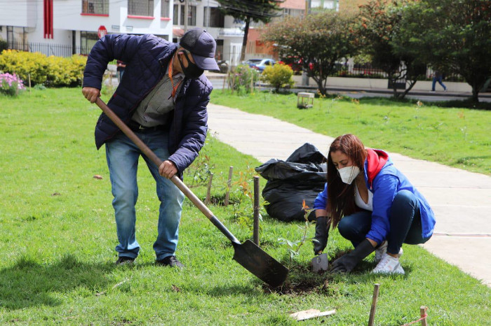 Cuidado ambiental