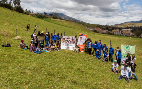Grupo de personas en actividad de siembra de árboles