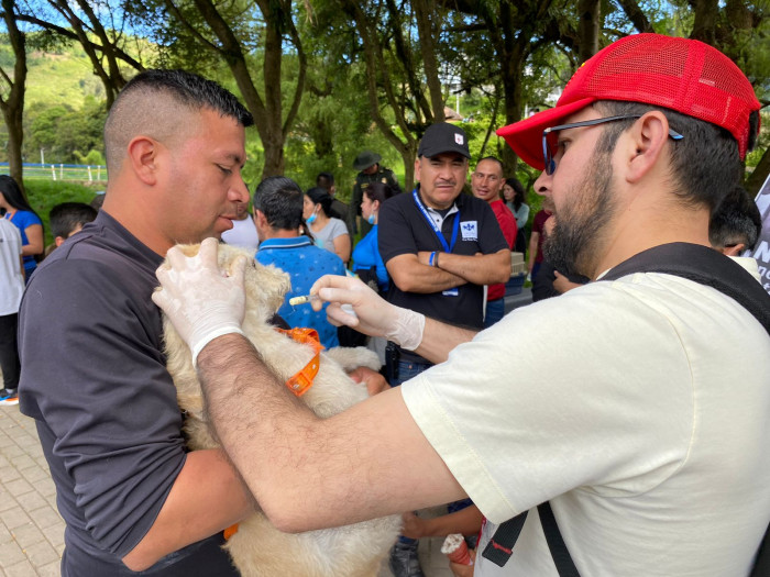 Cuarta jornada de adopción y los avances que se han realizado en relación al Bienestar Animal en el Municipio de Pasto.