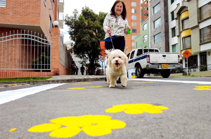 Campaña Huellitas Seguras