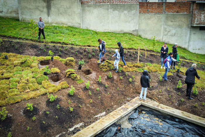 Siembra de árboles que organizó la fundación “El Toque de los Ángeles” en el parque Los Chilcos