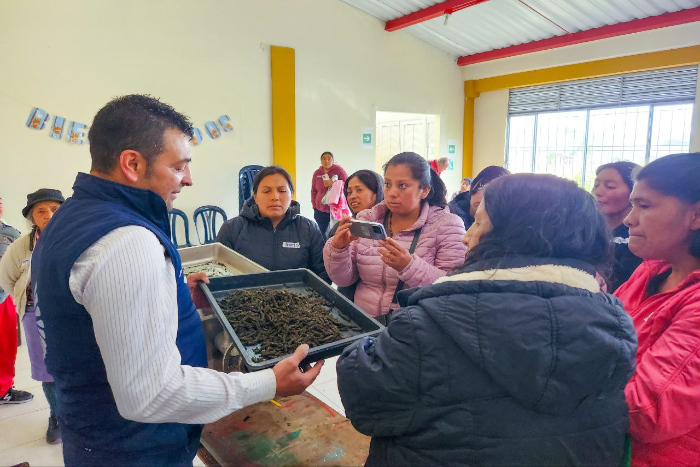 La Alcaldía de Pasto, a través de la Secretaría de Agricultura, adelantó una jornada de actualización tecnológica en alimentación estratégica para especies menores, manejo de pastos y forrajes con grupos asociativos del corregimiento de Gualmatán con el fin de dinamizar la economía del sector.