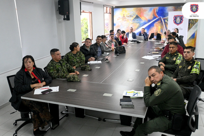 Comité Local de Seguridad Vial