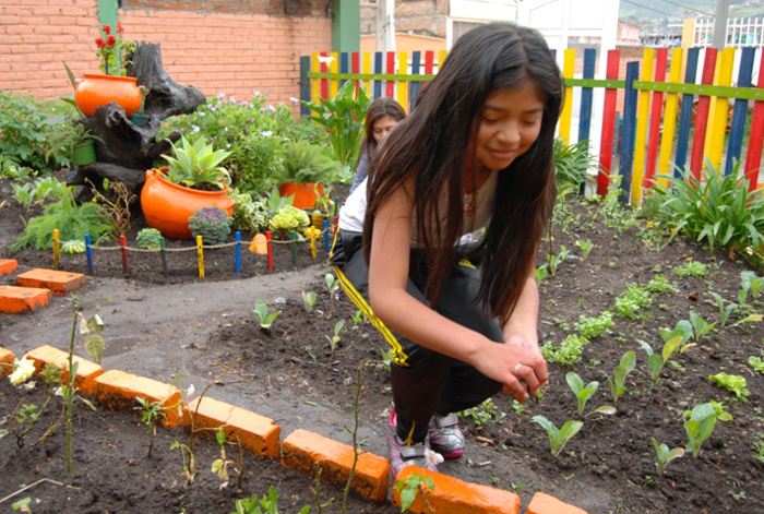 Actividad Ecológica - Pasto 2013