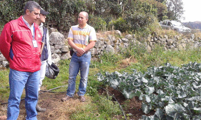 Asistencia técnica Cabrera