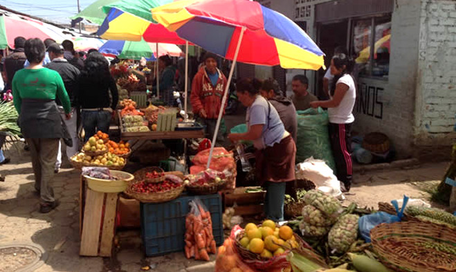 Plazas de mercado - Pasto 2013