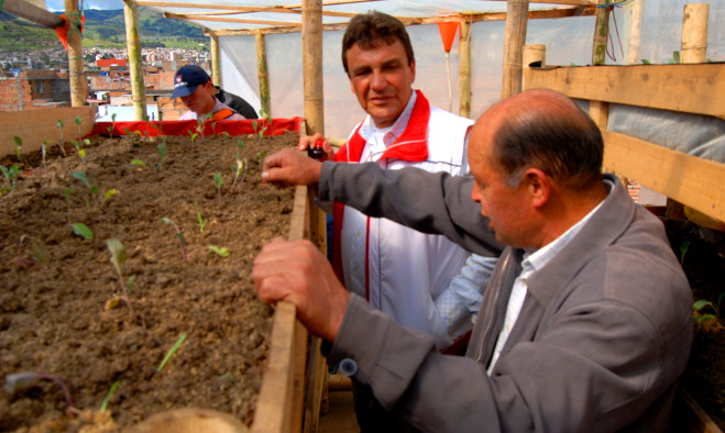 Agricultura urbana - Pasto 2013