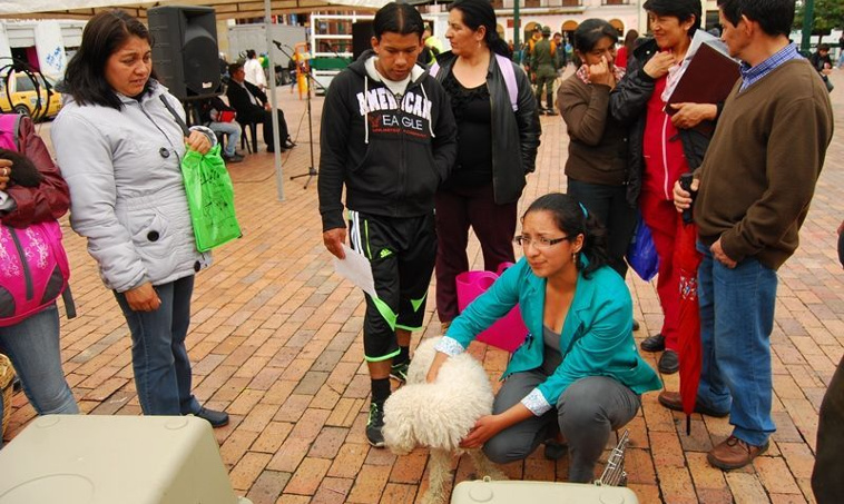 Campaña de protección animal - Pasto 2013