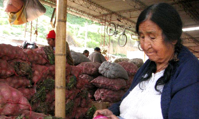 Comerciante Potrerillo Pasto