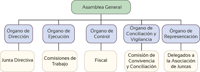 Estructura organización JAC