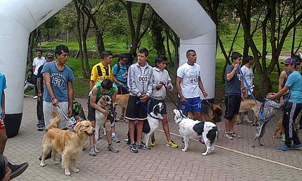 Canicross Pasto - 2013