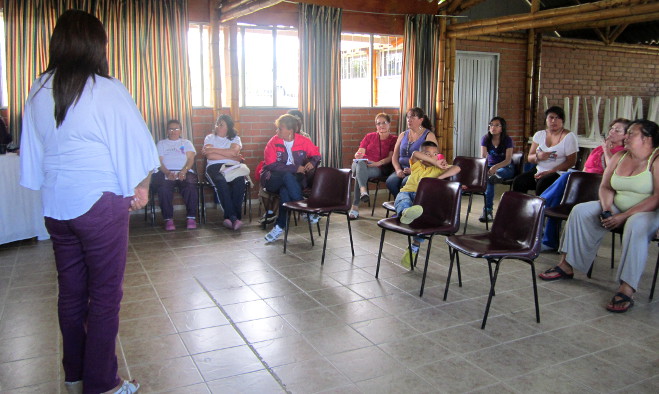 Consejo ciudadano de mujeres - Pasto 2013
