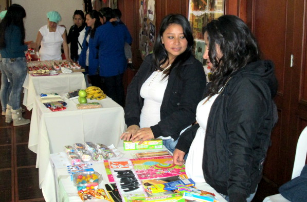 Proyecto Golondrina - Pasto 2013