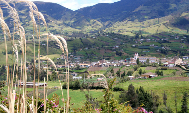 Agricultura Pasto