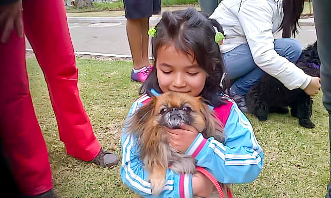 Día mundial de los animales - Pasto 2013