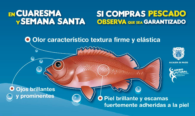 Recomendaciones compra de pescado