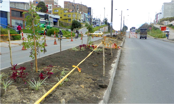 Siembra Plantas Panamericana - Pasto 2014