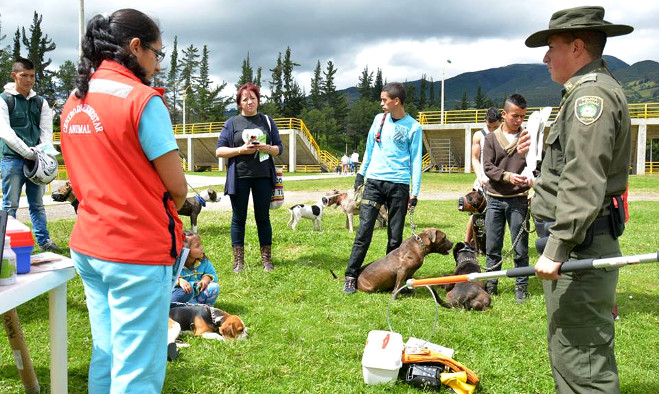Perros manejo especial - Pasto 2015