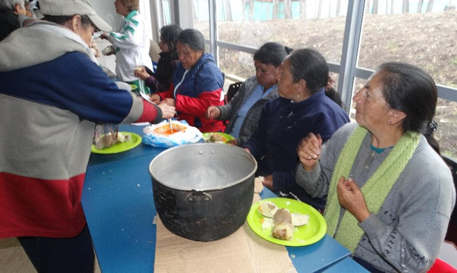 Huerta casera una opción más para los adultos mayores