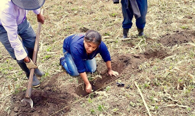 Mingas reforestacion vereda morasurco