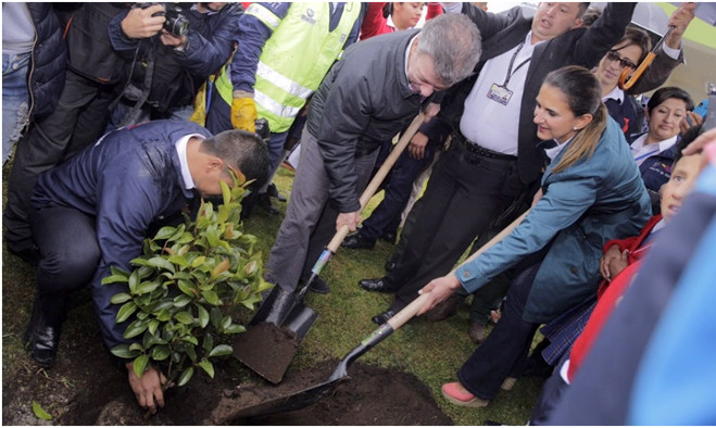 Siembra de árbol por el Presidente Santos