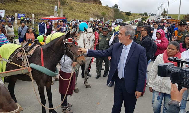 Jubilacion de equinos