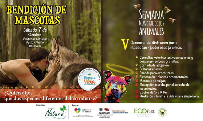 Bendicion de mascotas