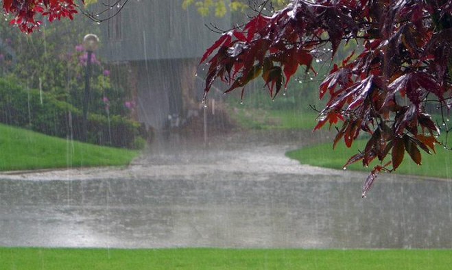 Prevencion ante segunda temporada lluvias