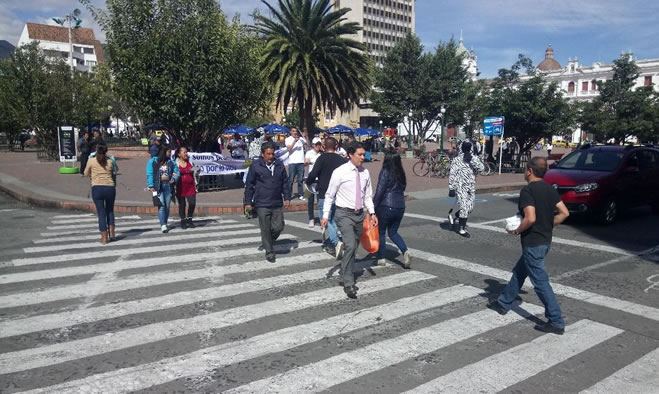 Todos somos peatones en la vía