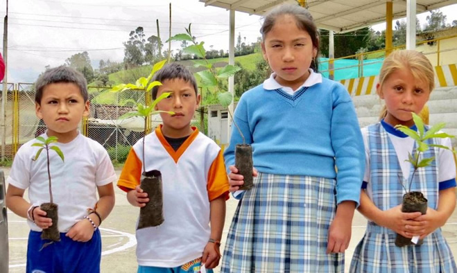 Gestion Ambiental - corregimiento El Socorro