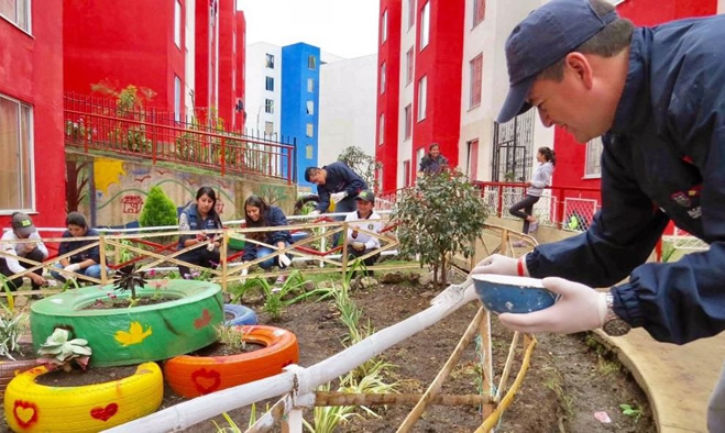 Jornada de amigos del ambiente urbanización San Luis