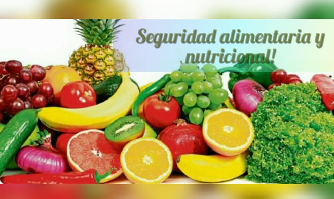 Comité de Seguridad Alimentaria y Nutricional
