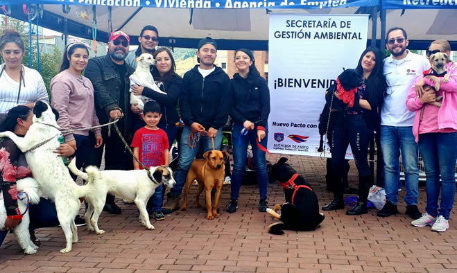 Jornada de adopción y desparasitación de mascotas