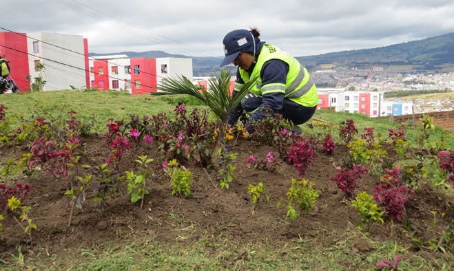“Amigos del Ambiente AMA”, en el barrio Prados del Norte