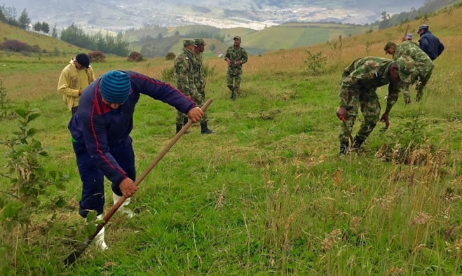 Jornada de mantenimiento y siembra de árboles, corregimiento de Buesaquillo