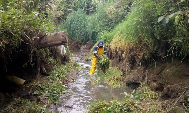 Acciones de mitigación sobre la ronda hídrica de la quebrada Membrillo Guaico