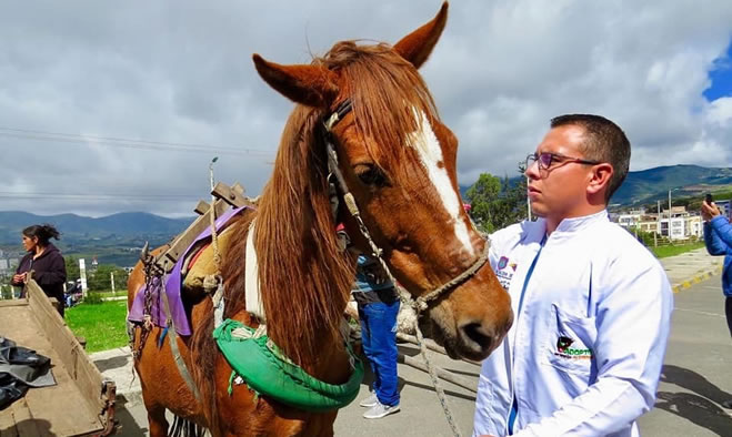 Sustitución de Vehículos de Tracción Animal