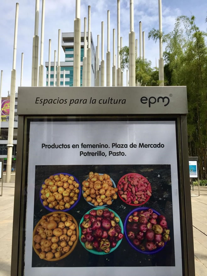 Festival ‘Cine a la Mesa’