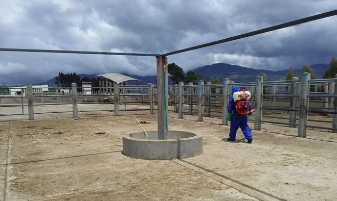 Jornada de limpieza y desinfeccion en plazas de mercado