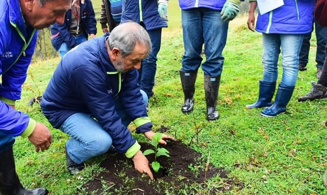 Un millón de árboles para la vida