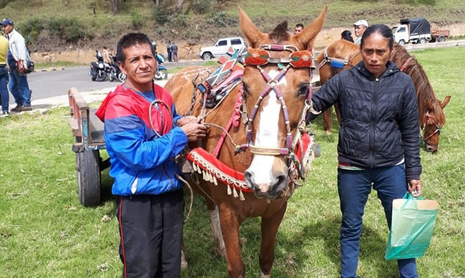 Última jornada de jubilación de equinos