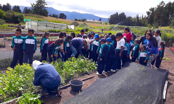 Visita Vivero Municipal de Obonuco